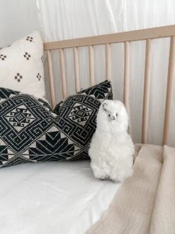 Alpaquita -Saffron + Poe Close Up of Alpaquita