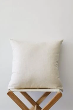 Director's Chair Pillow