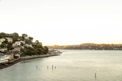 Gold Beam -Saffron + Poe GoldBeam photo mika street saffron and poe