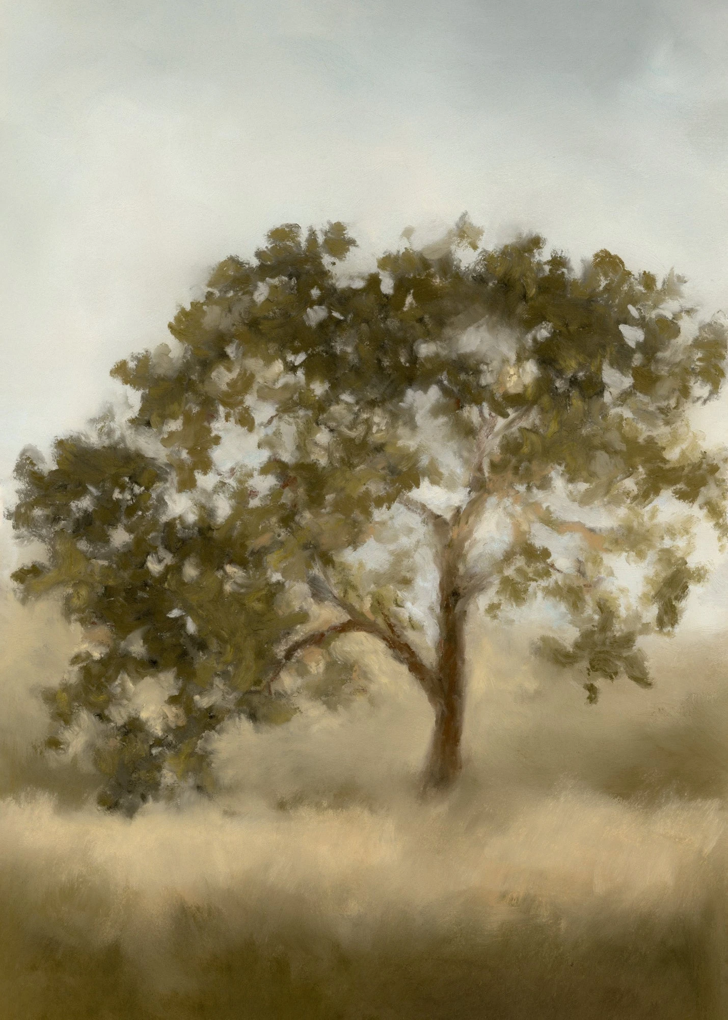 Golden Oak 1 Golden Oak