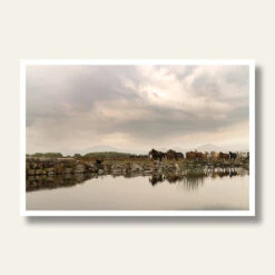 Saffron + Poe 20 Reflections