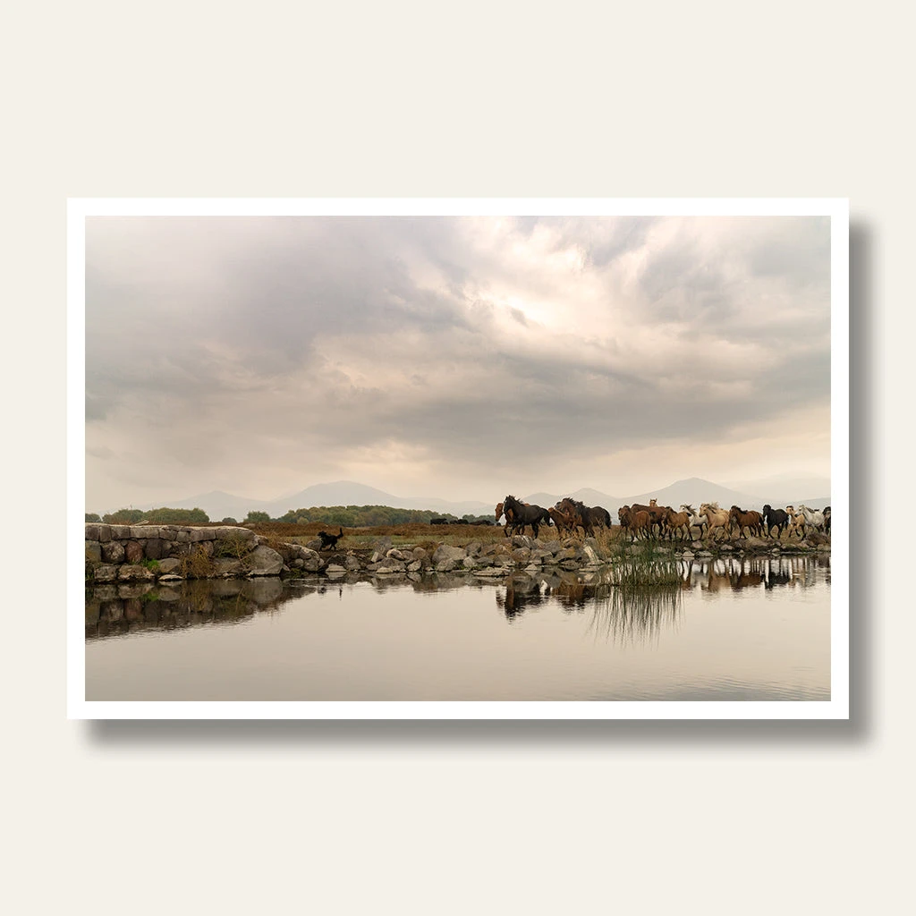 Reflections 1 Reflections