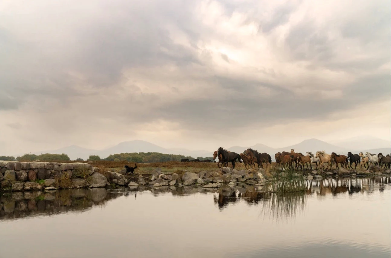 Reflections 3 Reflections - Image 3