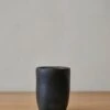 Oaxacan Handmade Ceramic Tumbler - Black