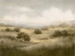 Saffron + Poe 12 Sunlit Valley